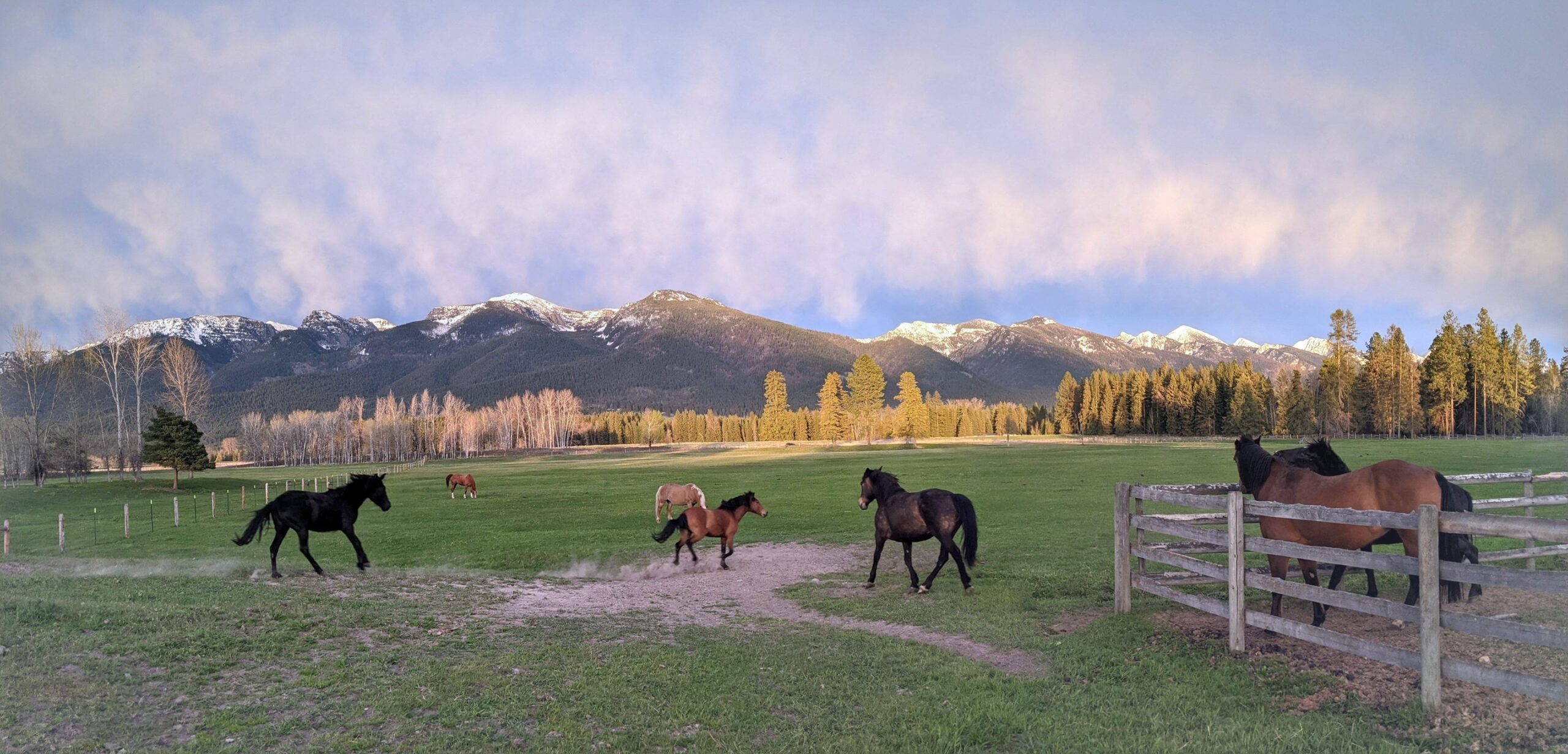 Speranza Springs Ranch