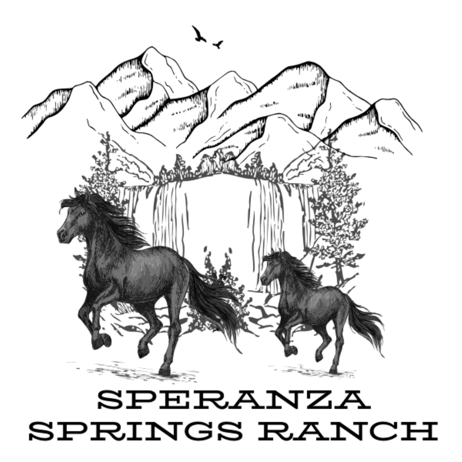 Speranza Springs Ranch icon