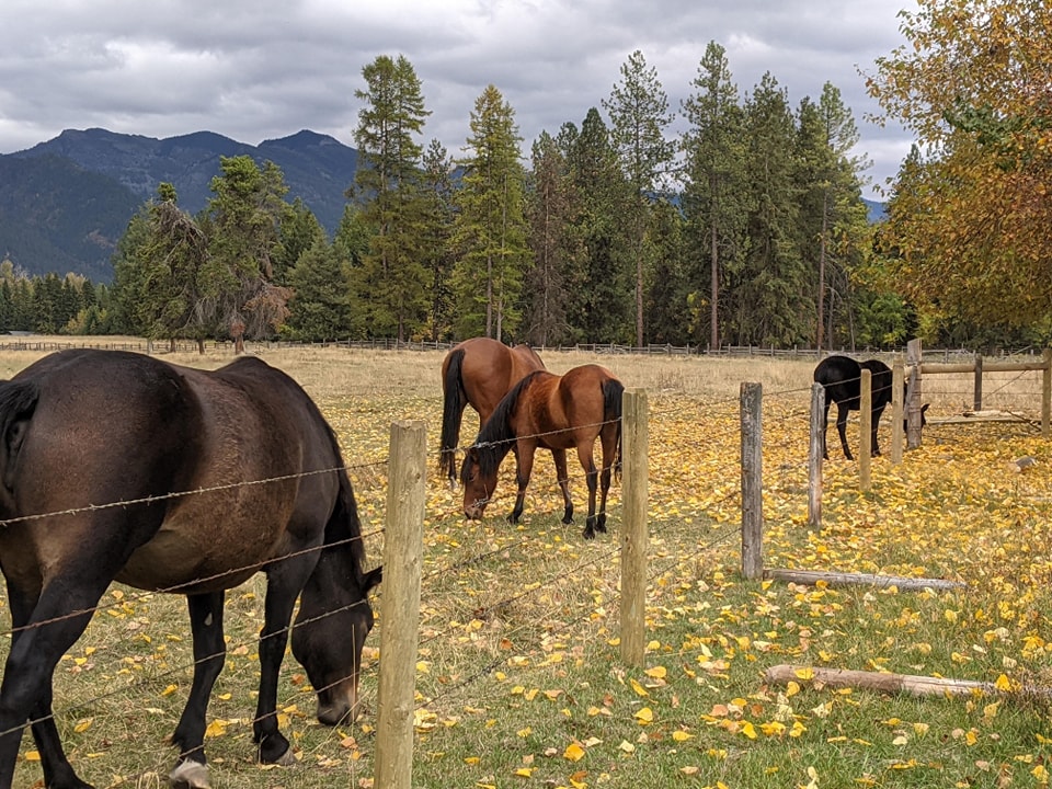 Fall day at SSR